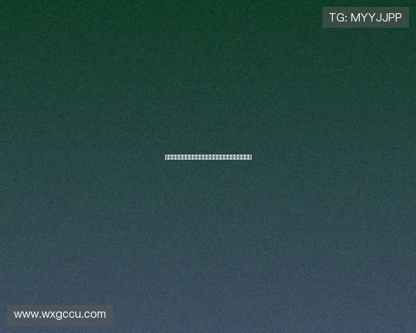 斑点狗的奇幻世界：一场关于爱、勇气与成长的动画盛宴